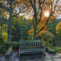 Buy canvas prints of Sunny Autumn Bench  by Ian Mitchell