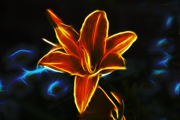 Neon Lily  Picture Board by Ian Mitchell