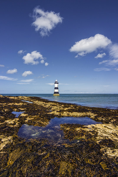  Trwyn Du Lighthouse  Picture Board by Ian Mitchell