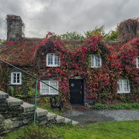 Buy canvas prints of Autumn Cottage  by Ian Mitchell