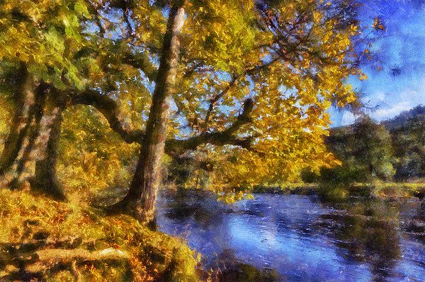 Autumn River  Picture Board by Ian Mitchell
