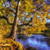 Buy canvas prints of Autumn River  by Ian Mitchell