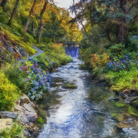 Buy canvas prints of Forest Stream  by Ian Mitchell