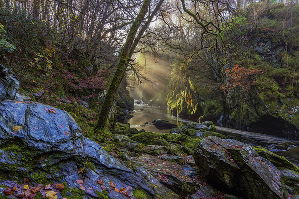  Magical Fairy Glen Picture Board by Ian Mitchell