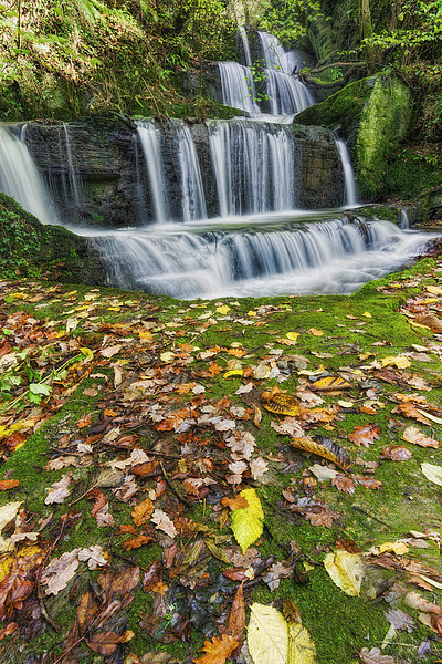 Autumn Cascade  Picture Board by Ian Mitchell