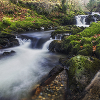 Buy canvas prints of A Stream of Snowdon  by Ian Mitchell