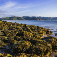 Buy canvas prints of West Shore  by Ian Mitchell