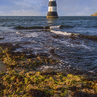 Buy canvas prints of Summer Lighthouse  by Ian Mitchell