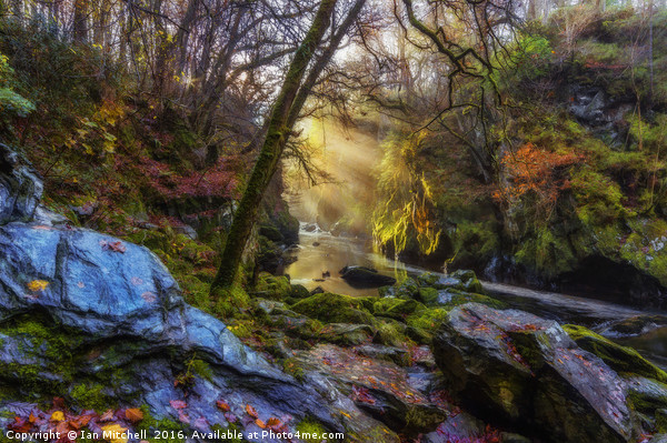 Autumn Fairy Glen Picture Board by Ian Mitchell