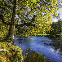 Buy canvas prints of Autumn By The River by Ian Mitchell
