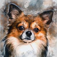 Buy canvas prints of Chihuahua by Ian Mitchell