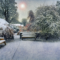 Buy canvas prints of Snowy Park by Ian Mitchell