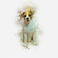 Buy canvas prints of Jack Russell by Ian Mitchell