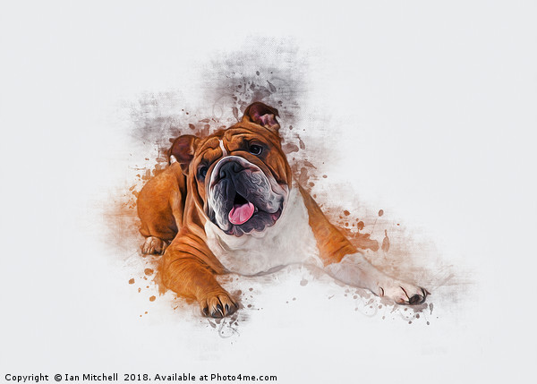 Bulldog Art Picture Board by Ian Mitchell