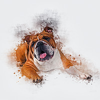 Buy canvas prints of Bulldog Art by Ian Mitchell