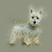 Buy canvas prints of West Highland White Terrier by Ian Mitchell