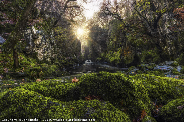 Fairy Glen Picture Board by Ian Mitchell