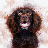 Buy canvas prints of Spaniel Art by Ian Mitchell