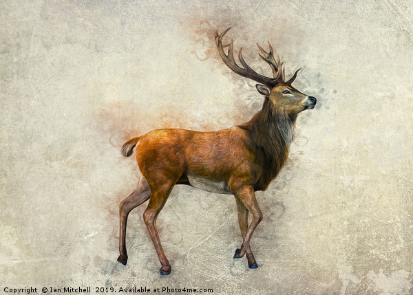 Elk Art Picture Board by Ian Mitchell