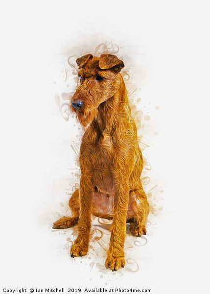 Irish Terrier Picture Board by Ian Mitchell