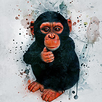 Buy canvas prints of Baby Chimpanzee Art by Ian Mitchell