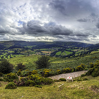 Buy canvas prints of Vale Of Llangollen by Ian Mitchell