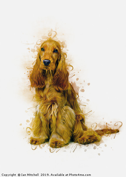 English Cocker Spaniel Picture Board by Ian Mitchell