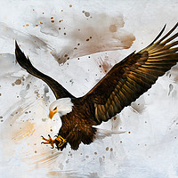 Buy canvas prints of Voice of The Eagle by Ian Mitchell