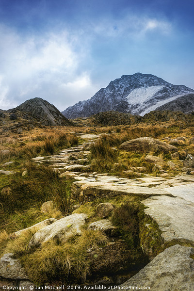 Path To Tryfan Picture Board by Ian Mitchell