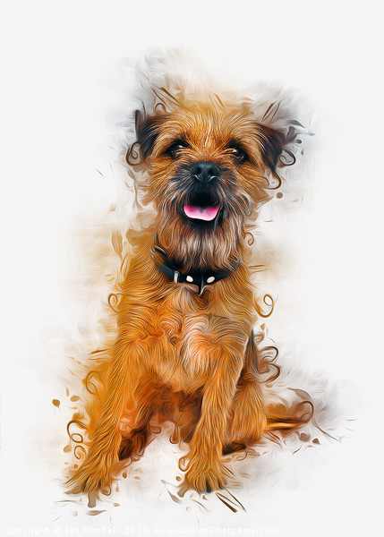 Border Terrier Picture Board by Ian Mitchell