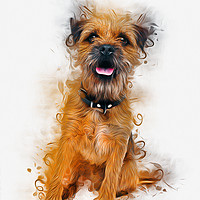 Buy canvas prints of  Border Terrier by Ian Mitchell