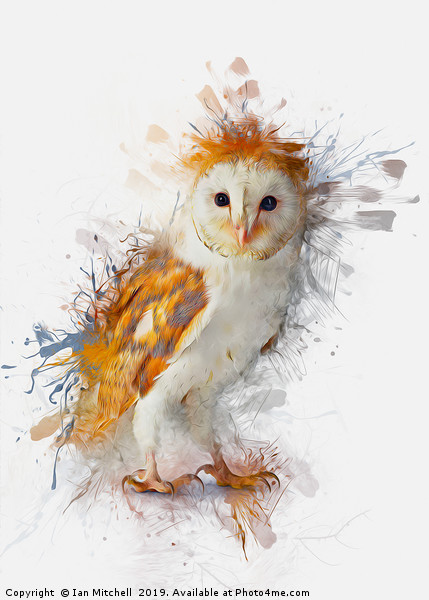 Barn Owl Painting Picture Board by Ian Mitchell