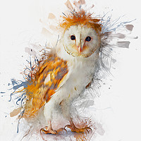 Buy canvas prints of Barn Owl Painting by Ian Mitchell