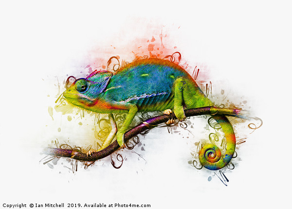 Chameleon Art Picture Board by Ian Mitchell