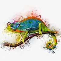 Buy canvas prints of Chameleon Art by Ian Mitchell