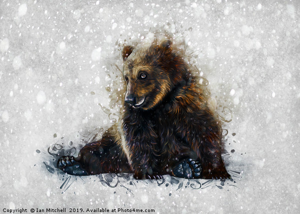 Brown Bear In The Snow Picture Board by Ian Mitchell