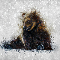 Buy canvas prints of Brown Bear In The Snow by Ian Mitchell