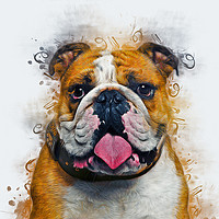 Buy canvas prints of Bulldog Art by Ian Mitchell