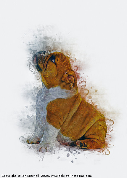 Bulldog Puppy Art Picture Board by Ian Mitchell