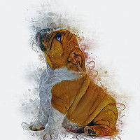 Buy canvas prints of Bulldog Puppy Art by Ian Mitchell