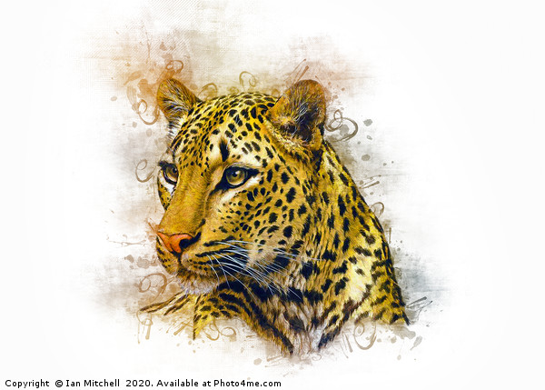 Leopard Art Picture Board by Ian Mitchell