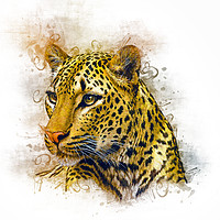 Buy canvas prints of Leopard Art by Ian Mitchell