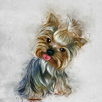 Buy canvas prints of Yorkshire Terrier Art by Ian Mitchell
