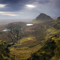 Buy canvas prints of Mirror Sky over the Quiraing by Matthew Train