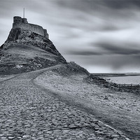 Buy canvas prints of Path to Lindisfarne Castle by Matthew Train