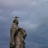 Buy canvas prints of Seagull on Statue by Stuart Vivian