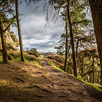 Buy canvas prints of Out of the woods, The Roaches, Peak District, UK by Nick Hillman