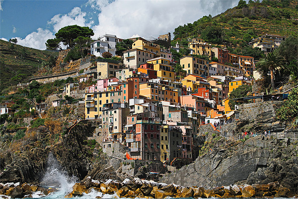Riomaggiore Village in the Cinque Terre Picture Board by Rob Washington