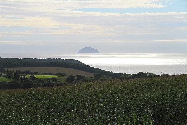 Ailsa craig from the mainland Picture Board by Rob Washington