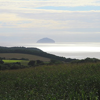 Buy canvas prints of Ailsa craig from the mainland by Rob Washington